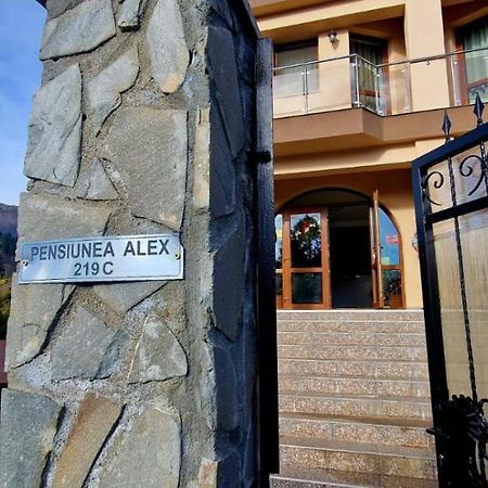 Pensiunea Alex Cheia  Exterior photo